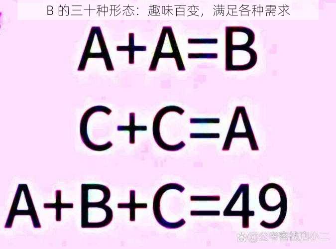 B 的三十种形态:趣味百变,满足各种需求