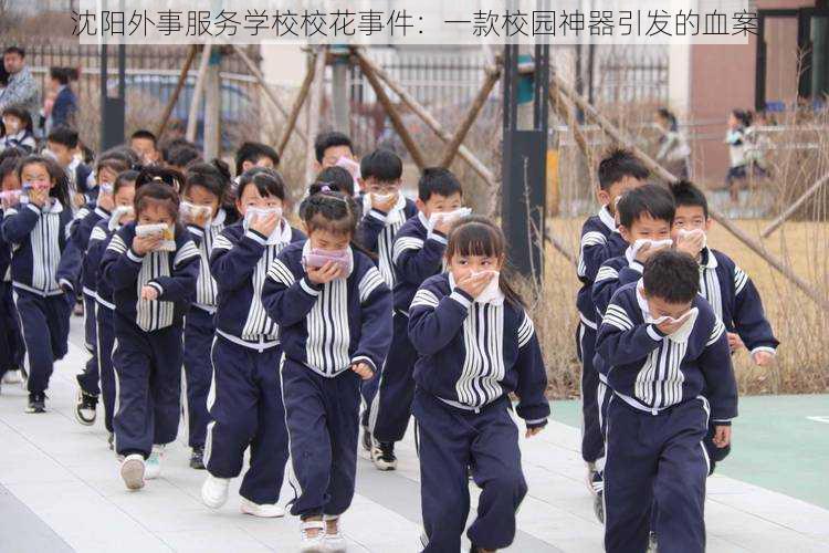 沈阳外事服务学校校花事件:一款校园神器引发的血案