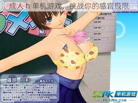 成人 h 单机游戏,挑战你的感官极限