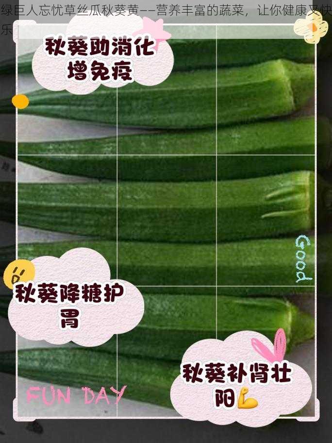 绿巨人忘忧草丝瓜秋葵黄——营养丰富的蔬菜,让你健康又快乐