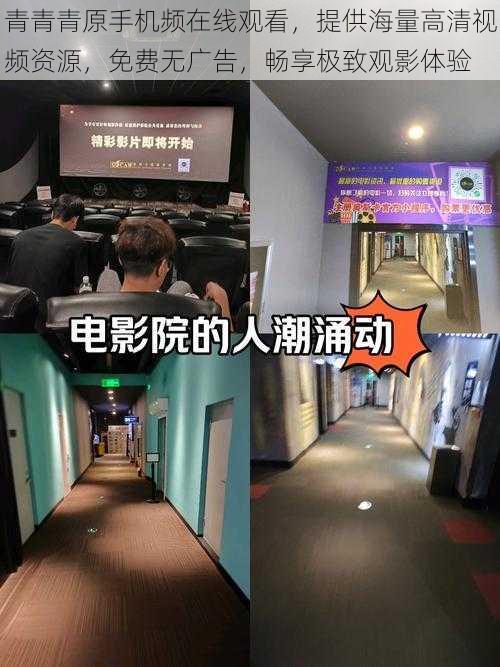 青青青原手机频在线观看,提供海量高清视频资源,免费无广告,畅享极致观影体验