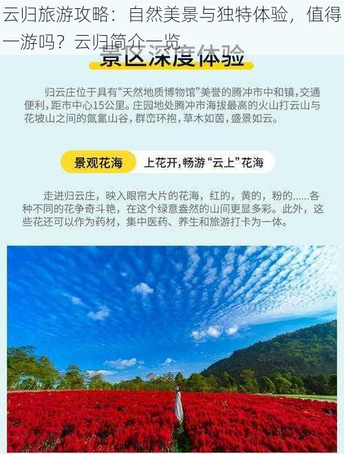 云归旅游攻略:自然美景与独特体验,值得一游吗?云归简介一览