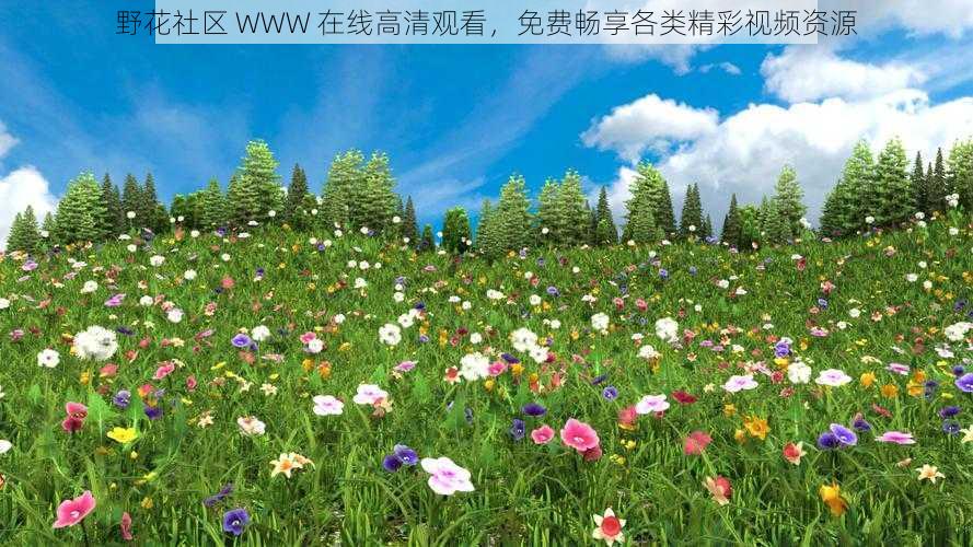 野花社区 WWW 在线高清观看,免费畅享各类精彩视频资源