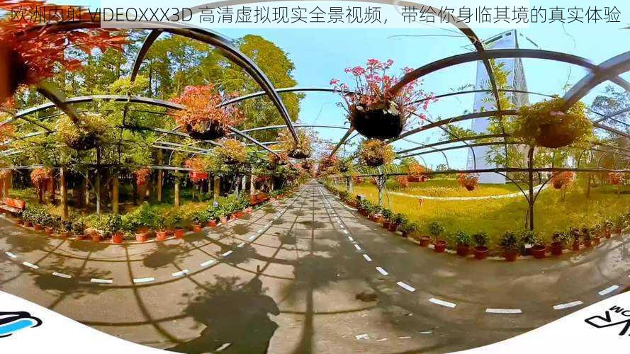 欧洲内射 VIDEOXXX3D 高清虚拟现实全景视频,带给你身临其境的真实体验