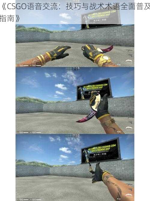 《CSGO语音交流:技巧与战术术语全面普及指南》