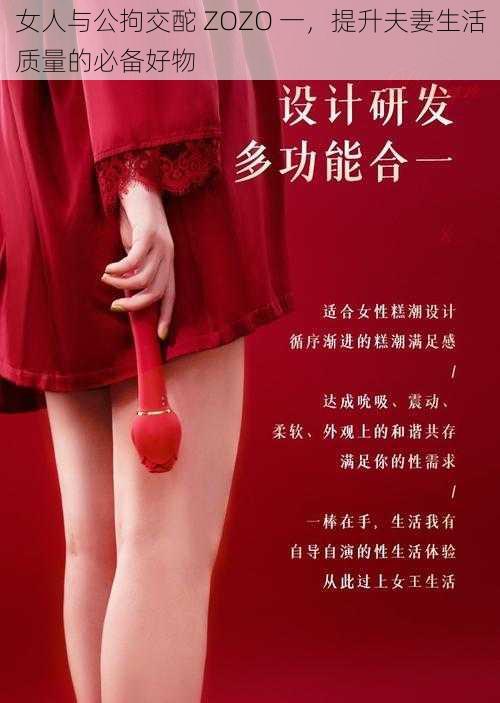 女人与公拘交酡 ZOZO 一,提升夫妻生活质量的必备好物
