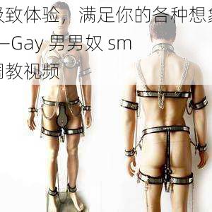 极致体验,满足你的各种想象——Gay 男男奴 sm 调教视频