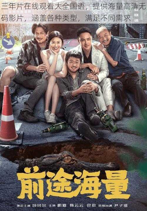 三年片在线观看大全国语,提供海量高清无码影片,涵盖各种类型,满足不同需求