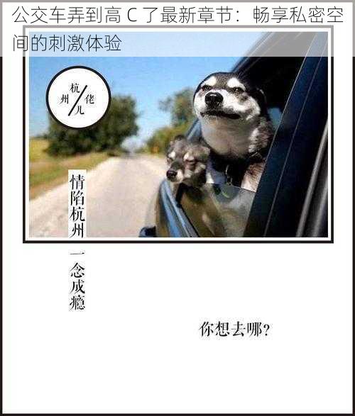 公交车弄到高 C 了最新章节:畅享私密空间的刺激体验