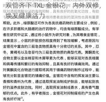 双管齐下 TXL 金银花,内外双修,焕发健康活力