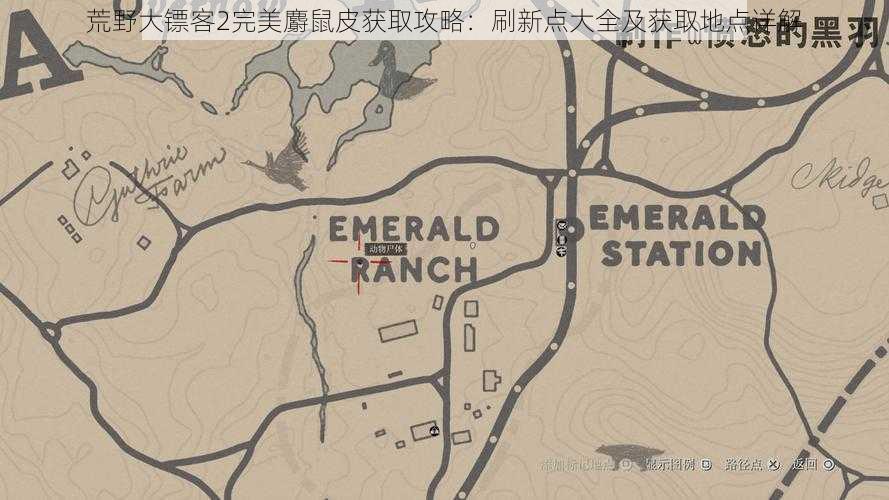 荒野大镖客2完美麝鼠皮获取攻略:刷新点大全及获取地点详解