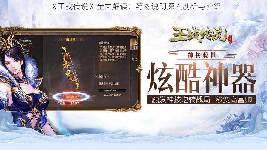 《王战传说》全面解读:药物说明深入剖析与介绍