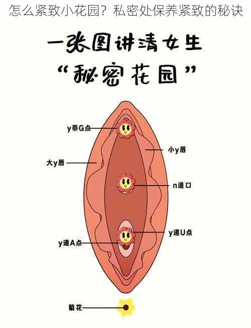 怎么紧致小花园?私密处保养紧致的秘诀