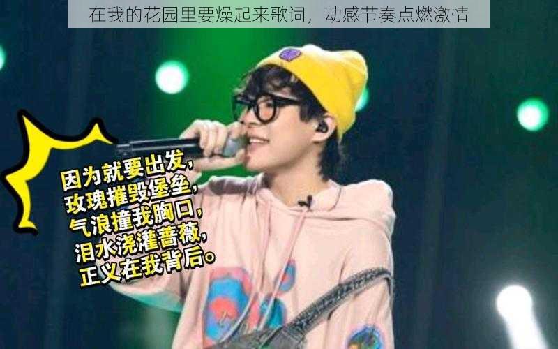 在我的花园里要燥起来歌词,动感节奏点燃激情