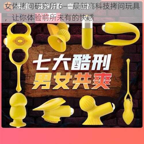 女体拷问研究所 6——最新高科技拷问玩具,让你体验前所未有的快感