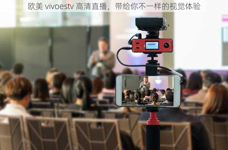 欧美 vivoestv 高清直播,带给你不一样的视觉体验