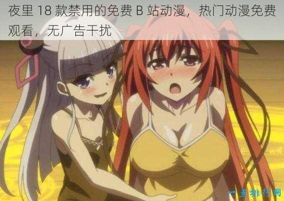 夜里 18 款禁用的免费 B 站动漫,热门动漫免费观看,无广告干扰