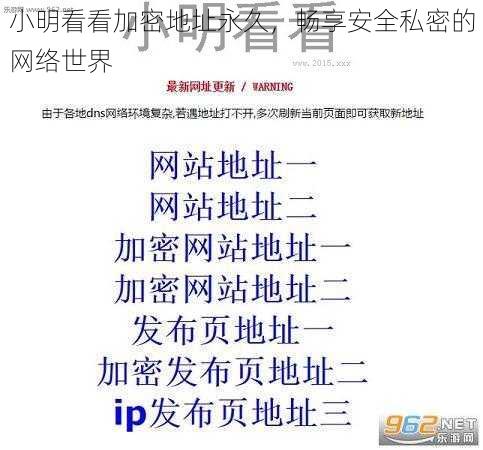 小明看看加密地址永久,畅享安全私密的网络世界