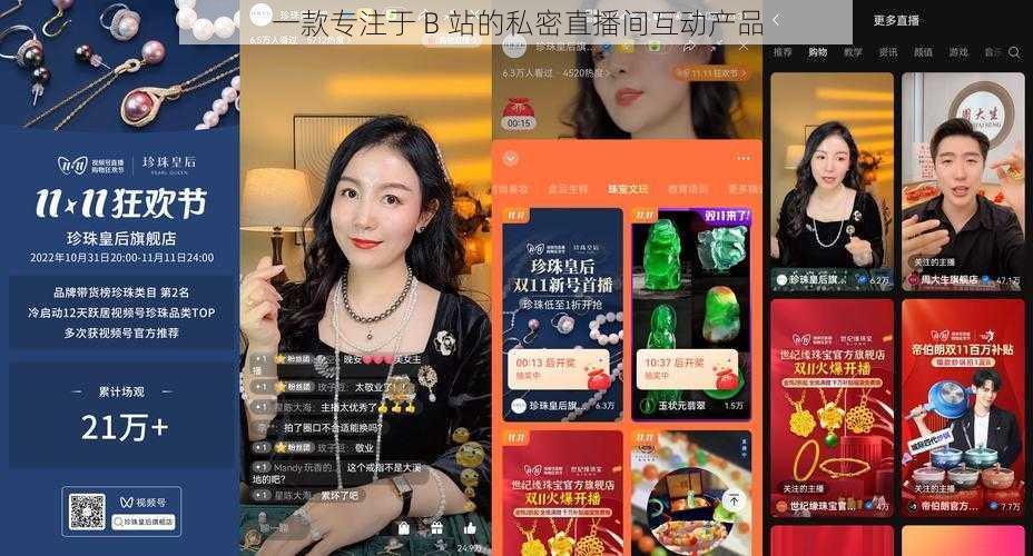 一款专注于 B 站的私密直播间互动产品