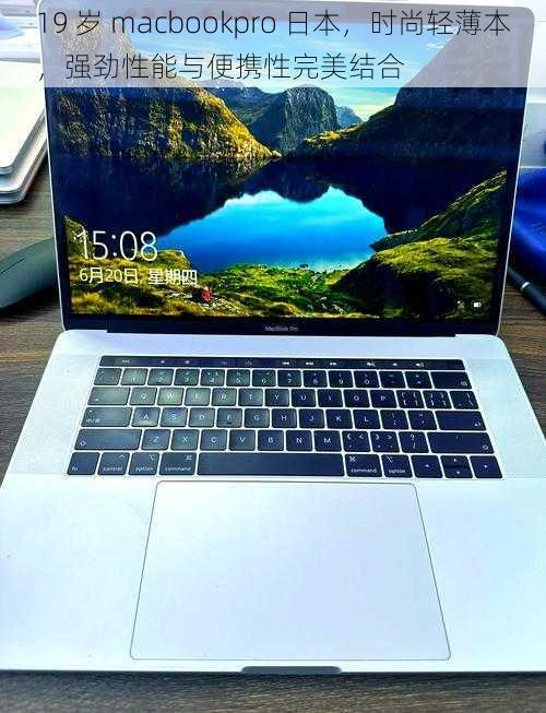 19 岁 macbookpro 日本,时尚轻薄本,强劲性能与便携性完美结合