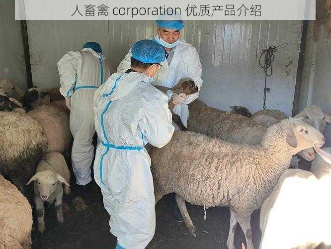 人畜禽 corporation 优质产品介绍