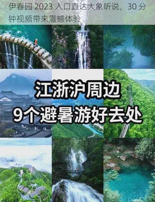 伊春园 2023 入口直达大象听说,30 分钟视频带来震撼体验