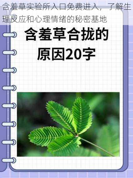 含羞草实验所入口免费进入,了解生理反应和心理情绪的秘密基地
