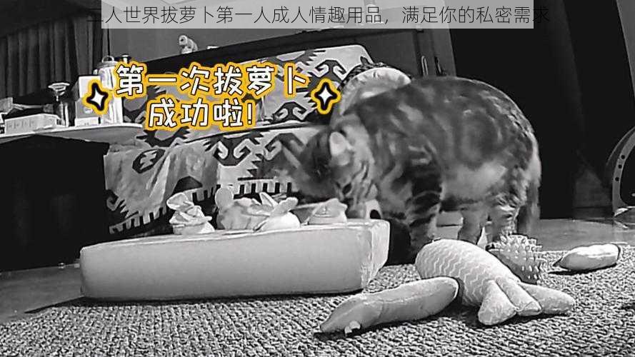 二人世界拔萝卜第一人成人情趣用品,满足你的私密需求