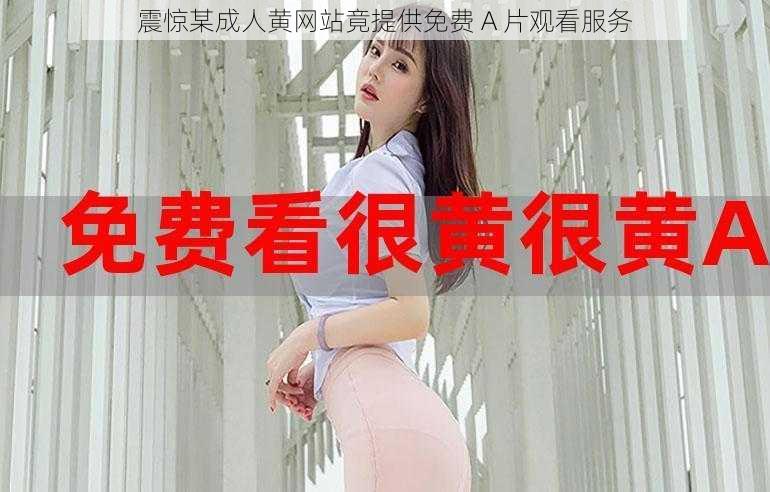 震惊某成人黄网站竟提供免费 A 片观看服务