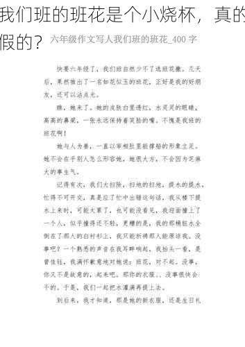 我们班的班花是个小烧杯,真的假的?