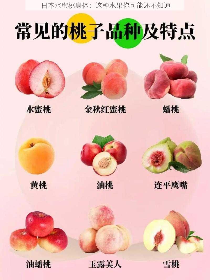 日本水蜜桃身体:这种水果你可能还不知道
