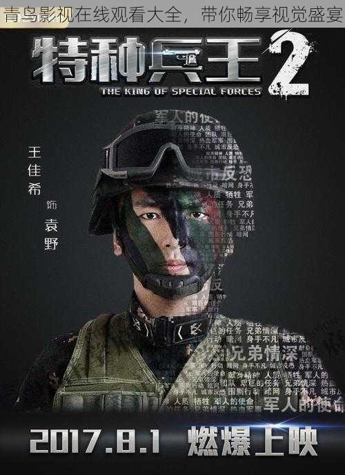 青鸟影视在线观看大全,带你畅享视觉盛宴