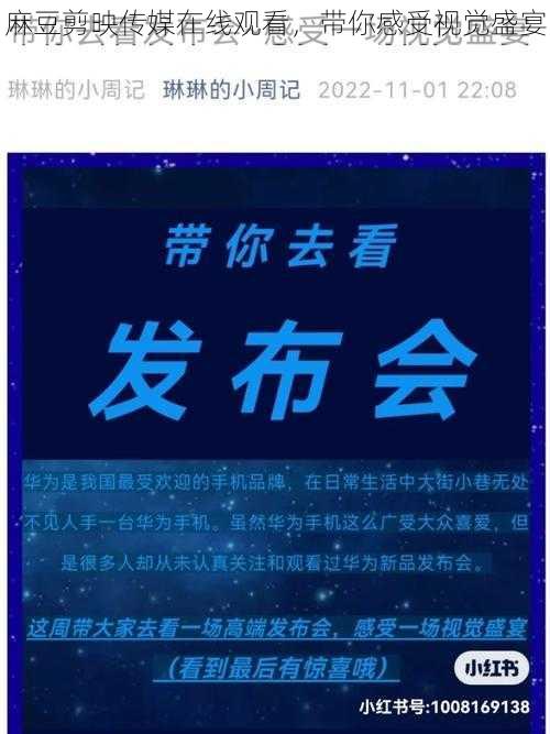 麻豆剪映传媒在线观看,带你感受视觉盛宴