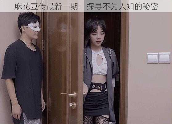 麻花豆传最新一期:探寻不为人知的秘密