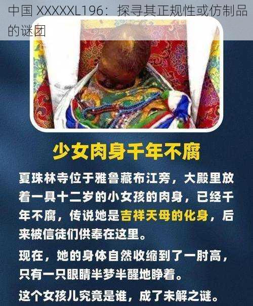 中国 XXXXXL196:探寻其正规性或仿制品的谜团
