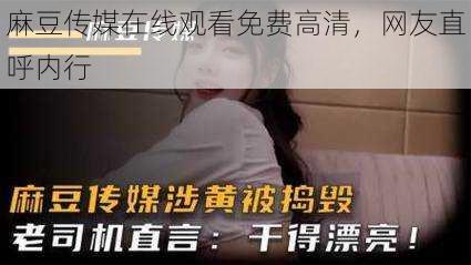 麻豆传媒在线观看免费高清,网友直呼内行