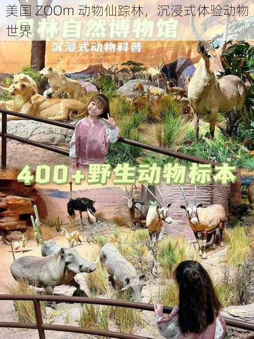 美国 ZOOm 动物仙踪林,沉浸式体验动物世界
