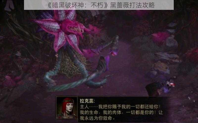 《暗黑破坏神:不朽》黑蔷薇打法攻略
