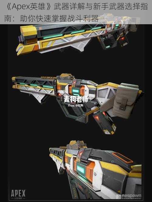 《Apex英雄》武器详解与新手武器选择指南:助你快速掌握战斗利器
