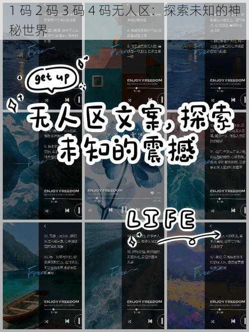 1 码 2 码 3 码 4 码无人区:探索未知的神秘世界
