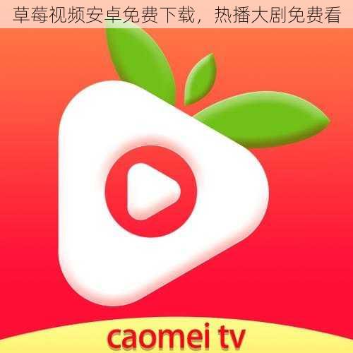 草莓视频安卓免费下载,热播大剧免费看