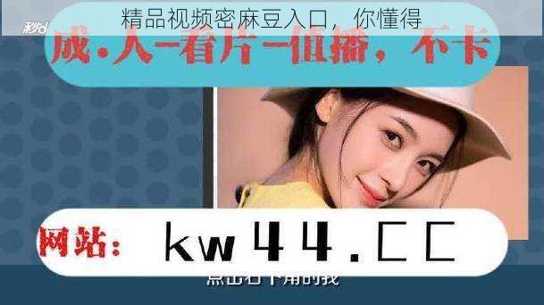 精品视频密麻豆入口,你懂得