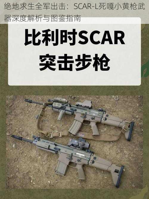 绝地求生全军出击:SCAR-L死嘎小黄枪武器深度解析与图鉴指南