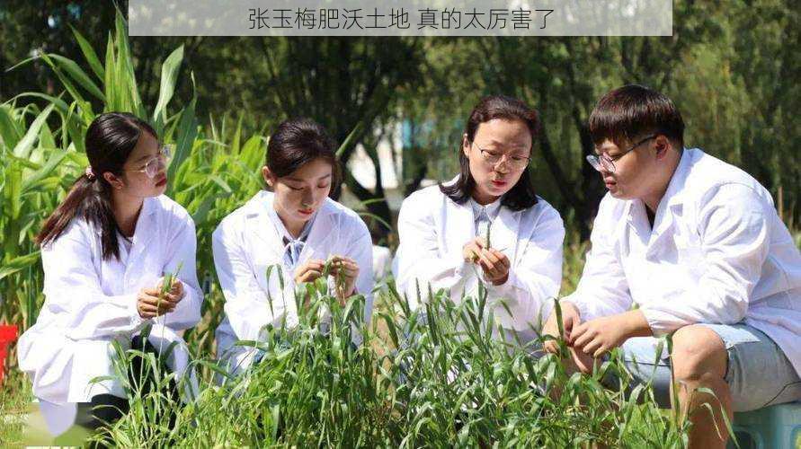 张玉梅肥沃土地 真的太厉害了