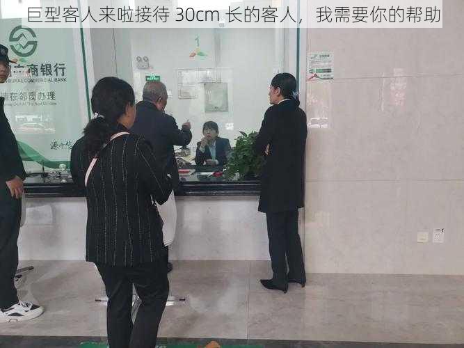 巨型客人来啦接待 30cm 长的客人,我需要你的帮助