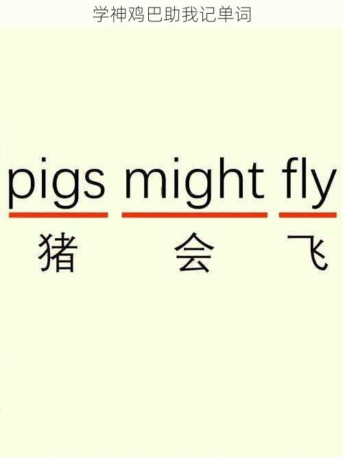 学神鸡巴助我记单词