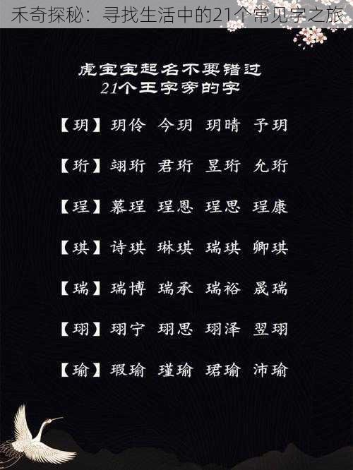 禾奇探秘:寻找生活中的21个常见字之旅
