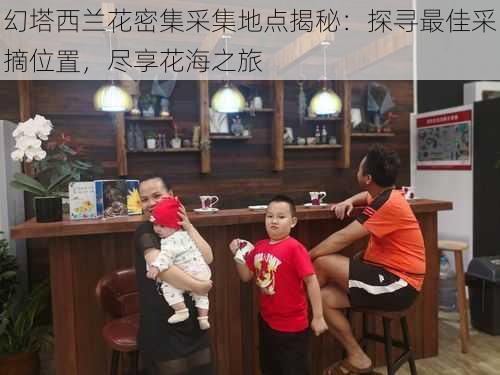 幻塔西兰花密集采集地点揭秘:探寻最佳采摘位置,尽享花海之旅
