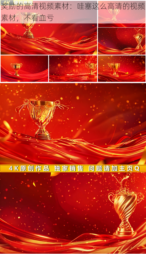 奖励的高清视频素材:哇塞这么高清的视频素材,不看血亏