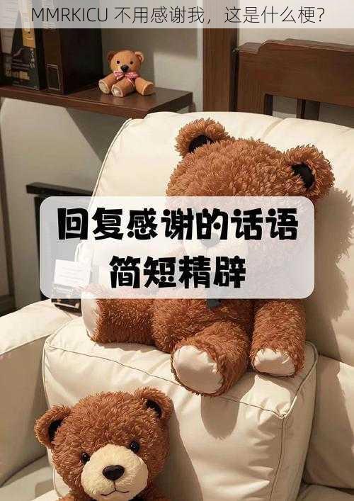 MMRKICU 不用感谢我,这是什么梗?